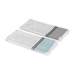 Набор полотенец Arya Home &quot;Despina&quot;, кухонные, 40x60, хлопок, 2 шт (8680943111784)