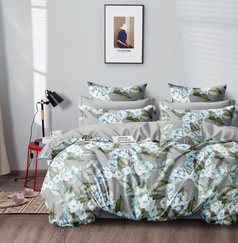 Постельное белье AlViTek (АльВиТек), евро, сатин, на молнии (АльВиТек-CA-6-669)