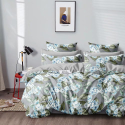 Постельное белье AlViTek (АльВиТек), евро, сатин, на молнии (АльВиТек-CA-6-669)