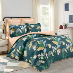 Постельное белье Valtery "CL-378", 2-спальный, сатин (CL-378-1251)