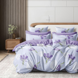 Постельное белье AlViTek (АльВиТек), евро, сатин, на молнии (АльВиТек-CA-6-670)