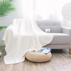 Плед AlViTek (АльВиТек), 200x220, велсофт (Al-SOFT PLUSH-200/014-sp)