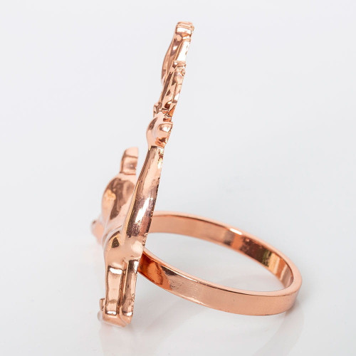 Кольца для салфеток Arya 4 Пр. X-mas Deer Розовое золото