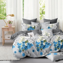 Постельное белье AlViTek (АльВиТек), евро, сатин, на молнии (АльВиТек-CA-6-673)