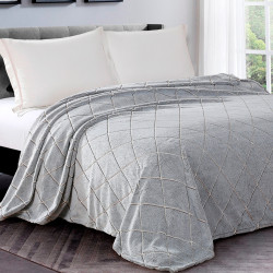 Плед AlViTek (АльВиТек), 200x220, велсофт (Al-200/435-pb)