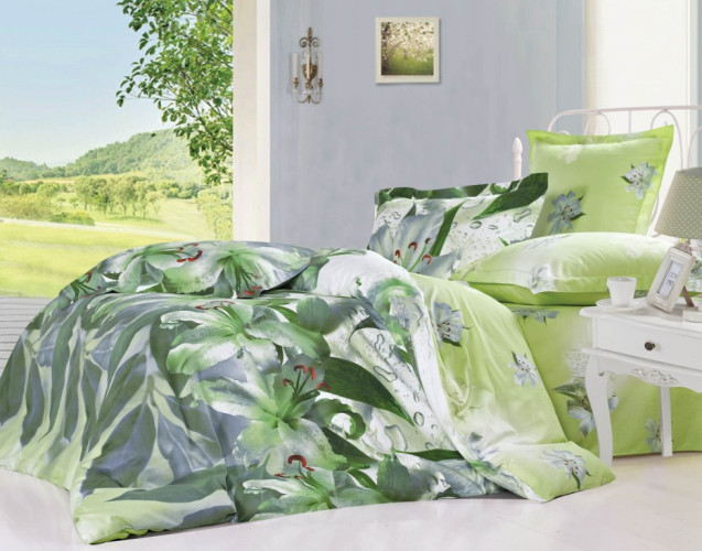 Постельное белье Сайлид "B-151", евро, сатин (B-151-1253)