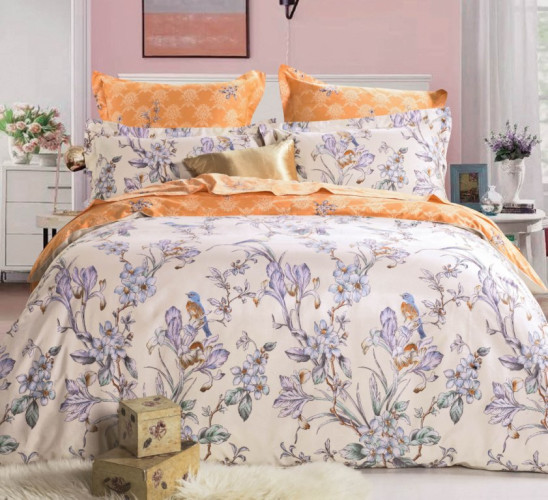 Постельное белье Сайлид "B-160", 2-спальный, сатин (B-160-1251)