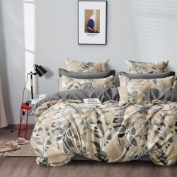 Постельное белье AlViTek (АльВиТек), евро, сатин, на молнии (АльВиТек-CA-6-680)