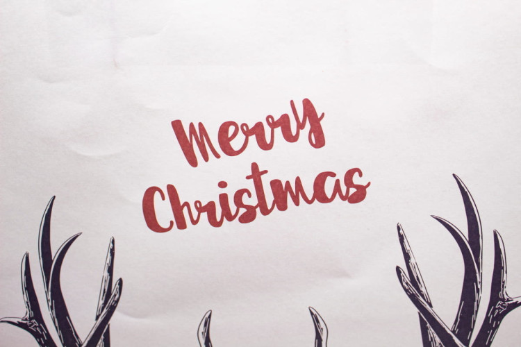 Подарочный Пакет Arya 36x8x45 Merry