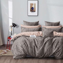 Постельное белье AlViTek (АльВиТек), евро, сатин, на молнии (АльВиТек-CA-6-683)