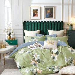 Постельное белье Valtery "CS-7", 2-спальный, сатин (CS-7-1251)