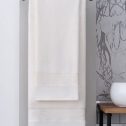 Полотенце Arya Home &quot;Jewel&quot;, гостевое, 30x50, махровая ткань (8680943028419)