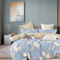 Постельное белье Valtery "C-532", 2-спальный, сатин (C-532-1251)