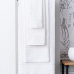 Полотенце Arya Home &quot;Miranda Soft&quot;, гостевое, 30x50, махровая ткань (8680943039187)