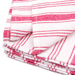 Набор полотенец Arya Home "Petuna", кухонные, 45x70, хлопок, 2 шт (8680943052070)