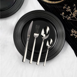 Набор столовых приборов Arya Timeless 24 пр. Amber