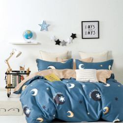 Постельное белье Valtery "CS-13", 2-спальный, сатин (CS-13-1251)