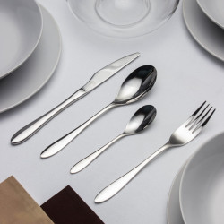 Набор столовых приборов Arya Timeless 24 пр. Leon