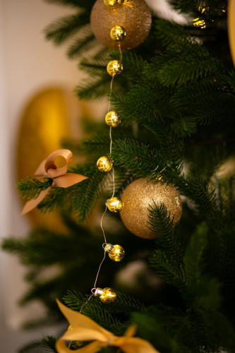 Елочное Украшение Arya 10 пр Light 2