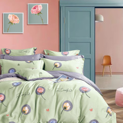 Постельное белье Cristelle (Кристель) "Cristelle Amante", евро, сатин (AM04-89 код1174)