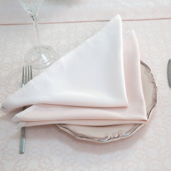 Набор полотенец Arya Home &quot;Asu&quot;, кухонные, 40x40, полиэстер, 2 шт (8680943045218)