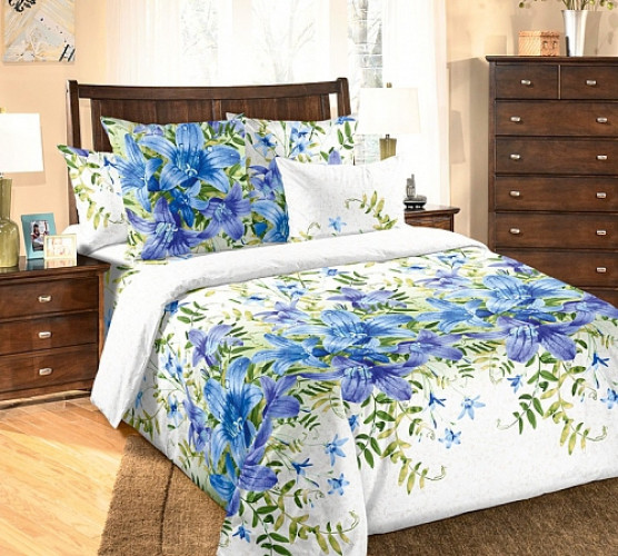 Постельное белье Чебоксарский Текстиль "Bells", 1.5-спальный, бязь (Bells-282)