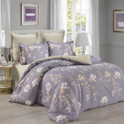 Постельное белье Valtery "C-385", 2-спальный, сатин (C-385-1251)