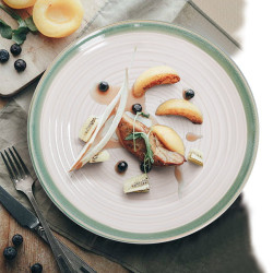 Набор тарелок Arya White Stoneware 4 пр. 20,8x2,5x12,3 см Зеленый