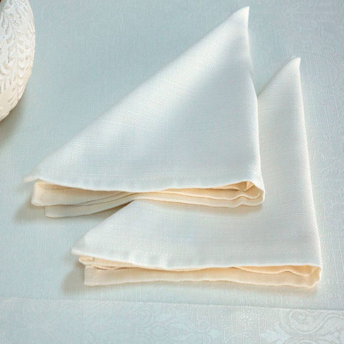 Набор полотенец Arya Home "Conchitta", кухонные, 40x40, полиэстер, 2 шт (8680943044785)