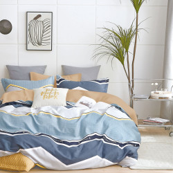 Постельное белье Valtery "C-499", 2-спальный, сатин (C-499-1251)