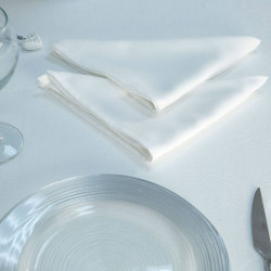 Набор полотенец Arya Home &quot;Sena&quot;, кухонные, 40x40, полиэстер, 2 шт (8680943044976)