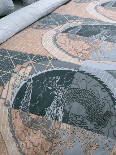 Постельное белье Белиссимо (Текс-Дизайн) "Дракон 1", евро, поплин (4150ЛН662321)