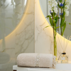 Полотенце Arya Home "Helen", для лица и рук, 50x90, махровая ткань (8680943211224)