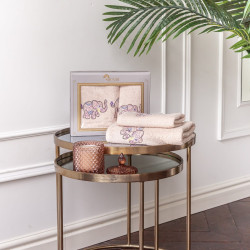 Набор полотенец Arya Home "Andy", подарочные, 30x50, 50x90, хлопок, 2 шт (8680943110145)