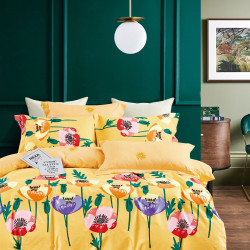 Постельное белье Tango (Танго) "TWILL", 2-спальный, сатин (TPIG2-1692-50 КОД1049)