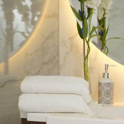 Полотенце Arya Home "Isabel Soft", гостевое, 30x50, махровая ткань (8680943040671)