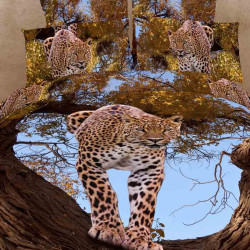 Постельное белье Фамилье "RS-153", евро, сатин (RS-153-1271)