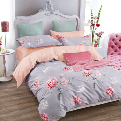 Постельное белье Valtery "CS-79", 2-спальный, сатин (CS-79-1251)