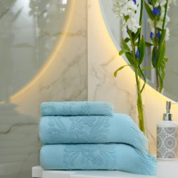 Полотенце Arya Home "Isabel Soft", пляжное, 100x150, махровая ткань (8680943041067)