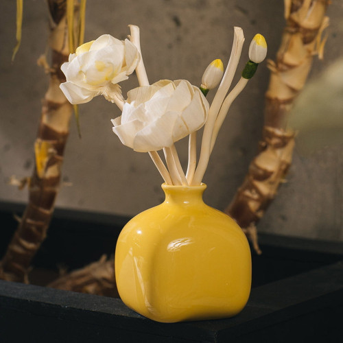 Диффузор ароматический с Цветком Arya 100 ml Vanilla