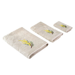 Набор полотенец Arya Home "Centaury", подарочные, 30x50, бамбук, 3 шт (8680943113900)