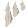 Набор полотенец Arya Home "Centaury", подарочные, 30x50, бамбук, 3 шт (8680943113900)