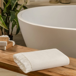 Полотенце Arya Home &quot;Eliga&quot;, 50x90, хлопок (8680943226013)