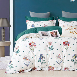 Постельное белье Cleo &quot;0064-SK&quot;, 1.5-спальный, сатин, на молнии (CLEO-SK-15/0064)