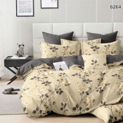 Постельное белье Valtery "AP-134", 1.5-спальный, поплин (AP-134-1249)