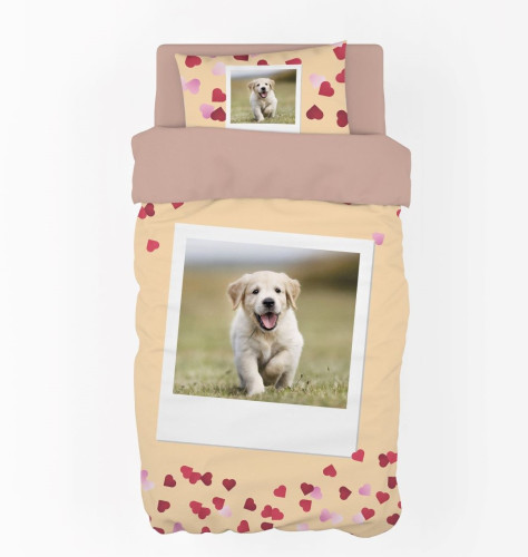 Постельное белье Valtery "DS-105", 1.5-спальный, сатин (DS-105-1249)