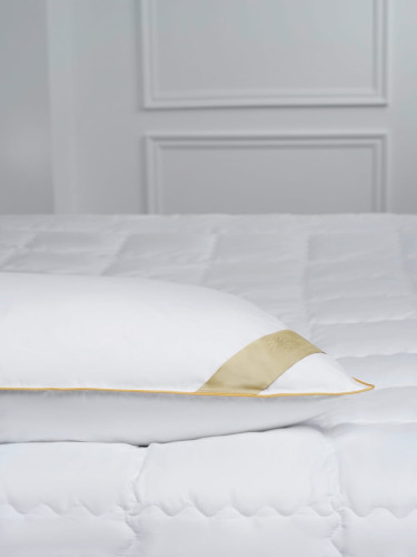 Подушка Arya Home "Bonetta", 70x70, хлопок, перо (8680943018328)