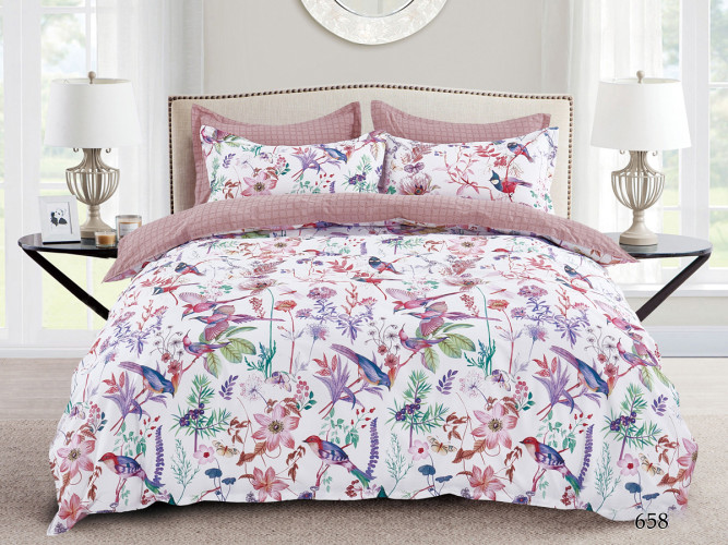 Постельное белье AlViTek (АльВиТек), евро, сатин, на молнии (АльВиТек-CA-6-658)