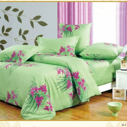 Постельное белье Сайлид "A-118", евро, поплин (A-118-172)