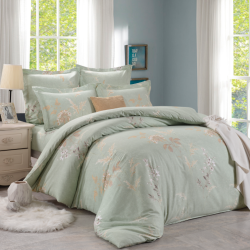 Постельное белье Valtery "C-321", 2-спальный, сатин (C-321-1251)